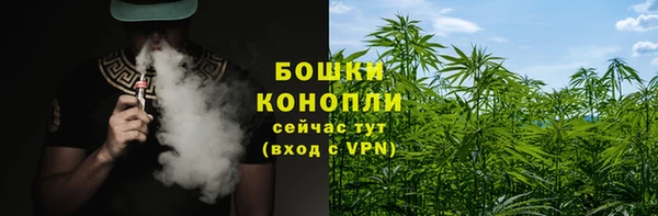 СК Абинск