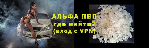 СК Абинск