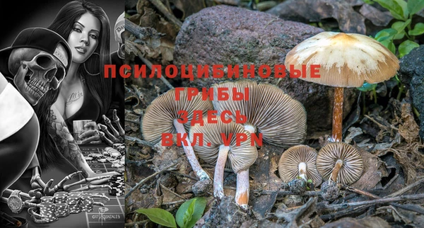 молекула духа Алзамай