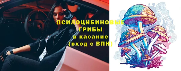 СК Абинск