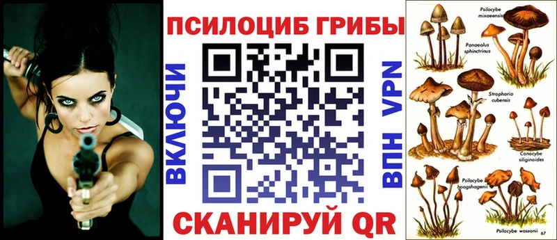 Псилоцибиновые грибы ЛСД  omg ссылки  Кировград 